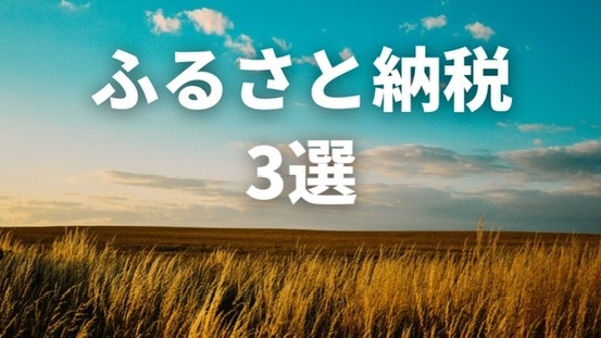 【後悔なし】楽天ふるさと納税で買ってよかったもの3選